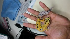 20131211_102836.jpg