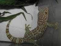 IMG_5783.jpg IMG_5783.jpg