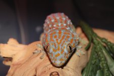 IMG_5816.jpg IMG_5816.jpg