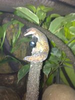 IMG_0017.jpg IMG_0017.jpg