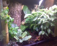 DSC00303.jpg DSC00303.jpg