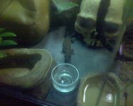 DSC00309.jpg