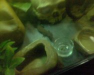 DSC00310.jpg