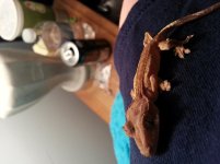 20131226_162540.jpg