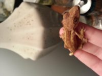 20131226_162801.jpg