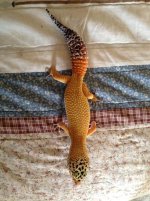 IMG_0281.jpg