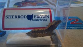 Vivky for Shaerrod Brown.jpg