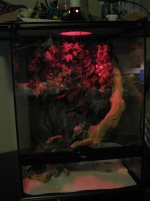 IMG_6028.jpg IMG_6028.jpg