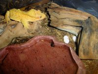 DSC00274.JPG