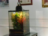 Gecko tank 002.jpg