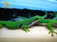 IMG_5094web_quadripaar_ns.jpg