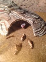 1779679_10152173758331768_1343789154_n.jpg 1779679_10152173758331768_1343789154_n.jpg