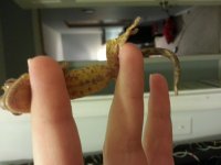 20140211_232818.jpg