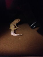 1743645_10152212584361768_1540330854_n.jpg 1743645_10152212584361768_1540330854_n.jpg