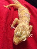 1902714_10152218739046768_658962017_n.jpg 1902714_10152218739046768_658962017_n.jpg