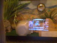 Snapshot_20140308.JPG