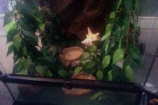 Photo on 3-9-2014 at 10.39 AM.jpg