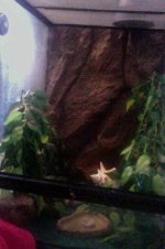 Photo on 3-9-2014 at 10.40 AM.jpg