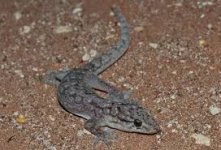 images.jpg images.jpg