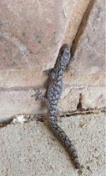 Untitled.jpg Untitled.jpg