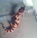 photo 1.jpg photo 1.jpg