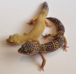 IMG_4911.jpg IMG_4911.jpg