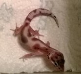 WP_20140513_019-1.jpg