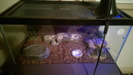 IMAG0419.jpg IMAG0419.jpg