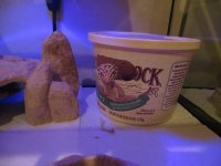 IMG_0234 (1).jpg IMG_0234 (1).jpg