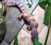 10462653_10202878417979739_6351714639975907643_n.jpg 10462653_10202878417979739_6351714639975907643_n.jpg