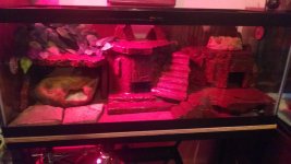 IMG_20140627_212310945.jpg
