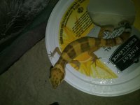 6-29-14-9.jpg 6-29-14-9.jpg