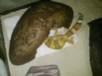 6-29-14-10.jpg 6-29-14-10.jpg