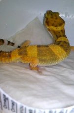 10262149_10203265515252822_3154378886240492021_n.jpg 10262149_10203265515252822_3154378886240492021_n.jpg