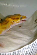 10463927_10203265515172820_6813770938915049718_n.jpg 10463927_10203265515172820_6813770938915049718_n.jpg