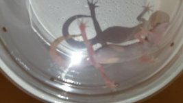 20140629_201631.jpg
