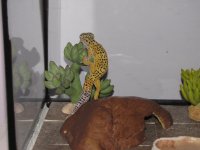 IMG_5256.jpg