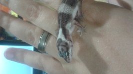 20140629_222911.jpg