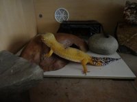 DSC00946.jpg