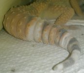 1044830_10203476046435970_527863030973639240_n.jpg 1044830_10203476046435970_527863030973639240_n.jpg