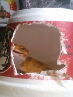 10478586_10203421835920741_781368335039911115_n.jpg 10478586_10203421835920741_781368335039911115_n.jpg