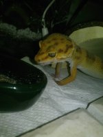 10505393_10203416991319629_6116369377553977754_n.jpg 10505393_10203416991319629_6116369377553977754_n.jpg