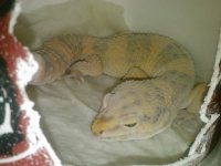 10574536_10203472861036337_8633740497726049515_n.jpg 10574536_10203472861036337_8633740497726049515_n.jpg