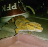 Blaize.jpg Blaize.jpg