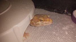 20140812_220251.jpg 20140812_220251.jpg