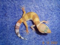 CTLG02-1-0002.jpg
