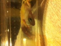 photo 2 (1).JPG photo 2 (1).JPG