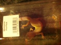 photo 3 (1).JPG photo 3 (1).JPG