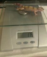 IMAG0656_1.jpg IMAG0656_1.jpg