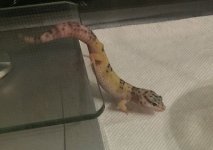 IMAG0657_1.jpg IMAG0657_1.jpg